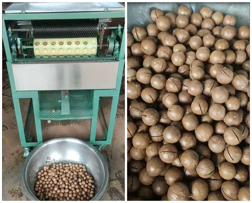 Full Automatic Macadamia Nuts Cracking Opening Machines