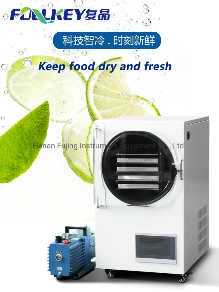 Home Freeze Dried Food Vacuum Lyophilizer Price Fruit Mini Vegetable Freeze Drying Machine Freeze Drye