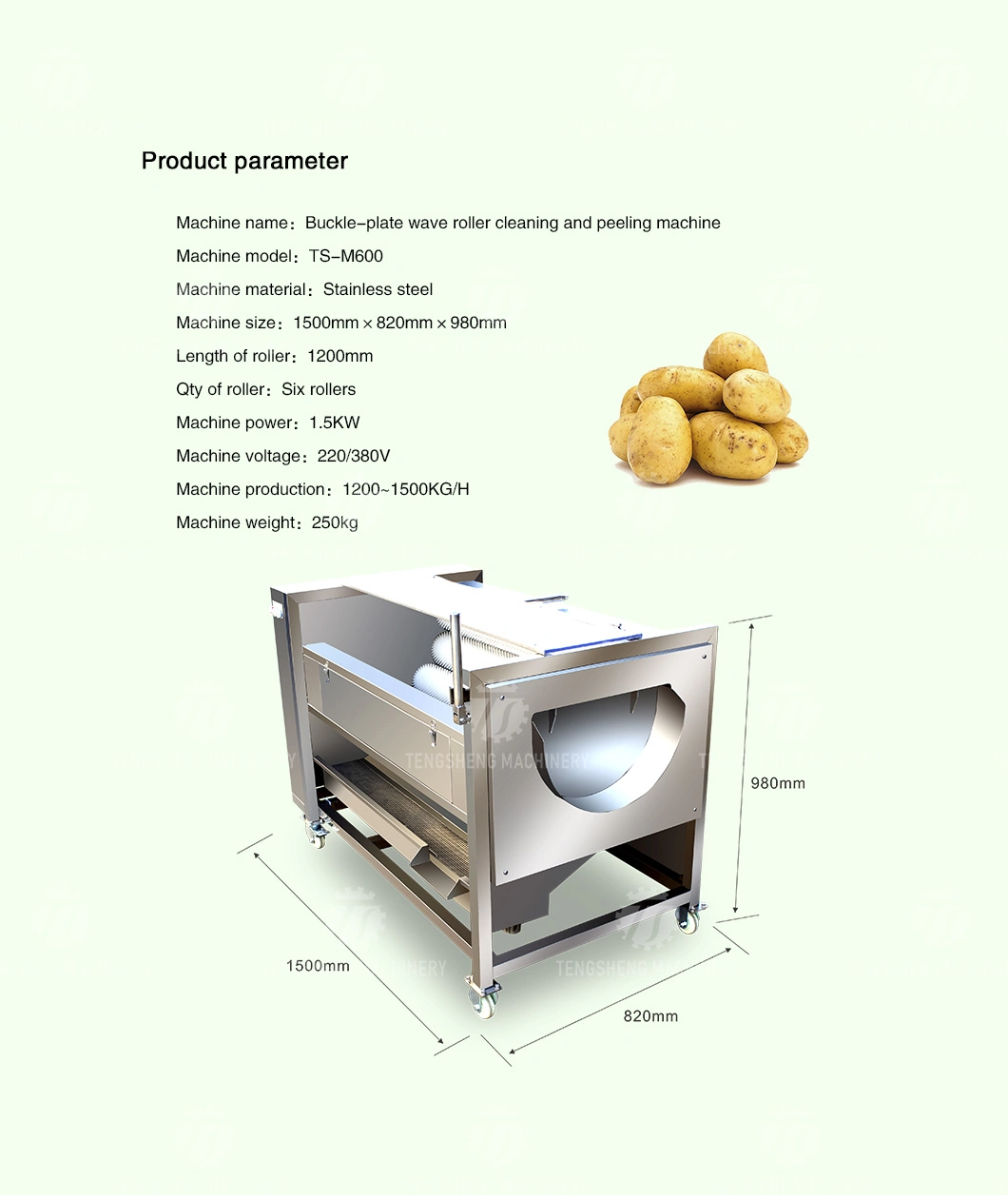 Vegetable and Fruit Cleaning and Peeling Machine Industrial Food Cleaning Machinery Stainless Steel Material