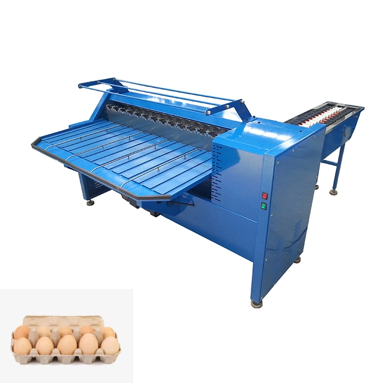 Stainless Steel High Efficiency Commercial Egg Classifier Machine Egg Grading Sorting Machine