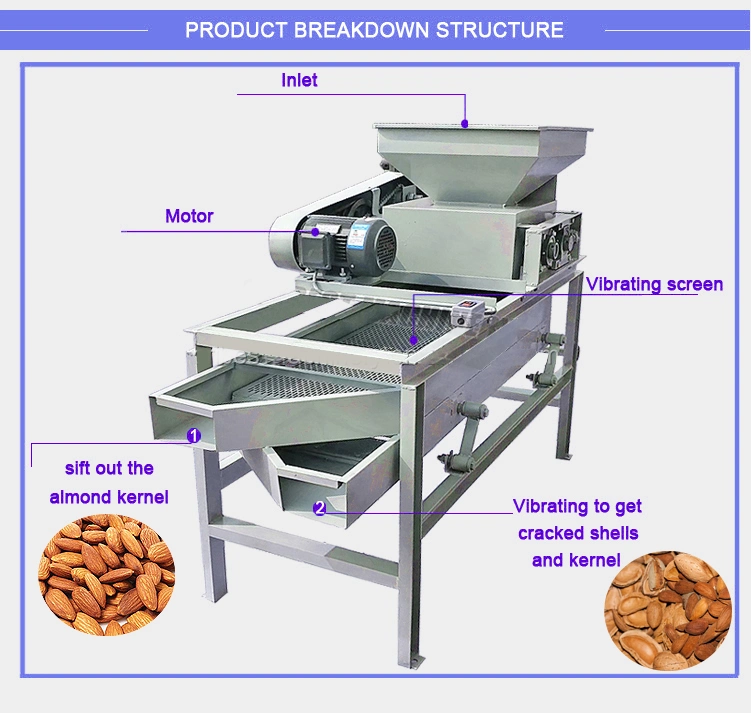 Hot Sale Walnu Pecan Almond Pine Shelling Cracking Machine