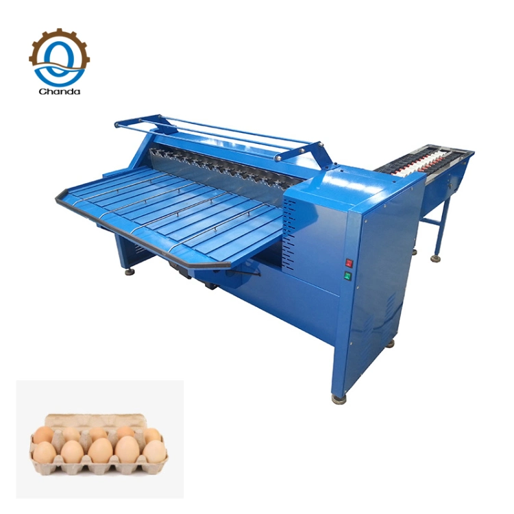 Stainless Steel High Efficiency Commercial Egg Classifier Machine Egg Grading Sorting Machine