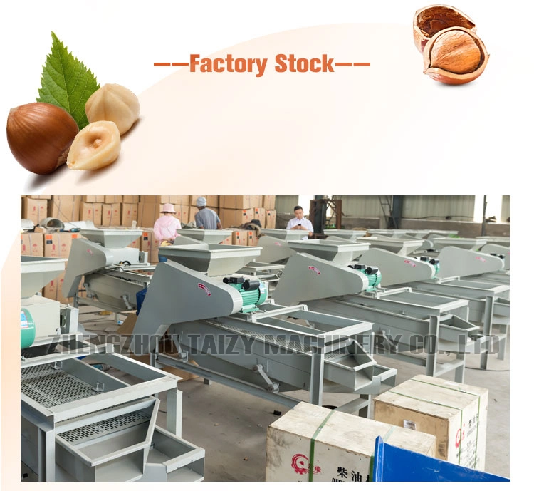 Hot Sale Walnut Nuts Pecan Almond Shelling Machine Pine Nut Palm Cracking Machine