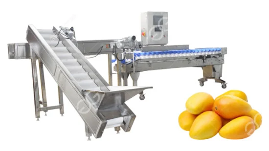 스테인레스 스틸 사과 오렌지 아보카도 배 과일 분류 기계 식품 분류 기계 무게 과일 분류 기계