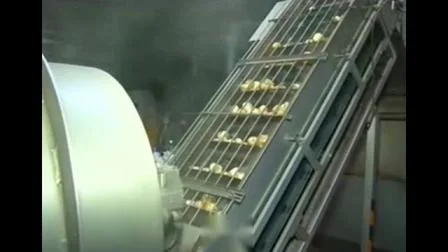 감자칩 기계 가공 라인 100kg 감자칩 생산 라인