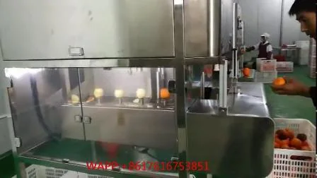 과일 필러 탈핵제 코어 제거제 과일 코어 제거 피팅 머신
