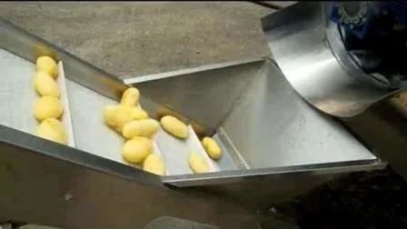 산업용 감자 칩 제조 기계, 감자 튀김 생산 라인