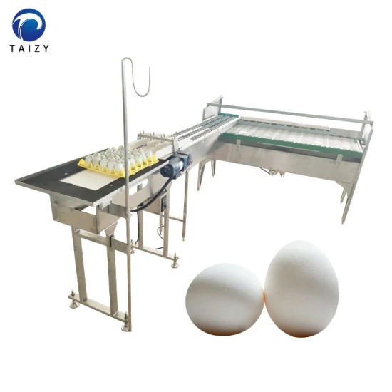 고품질 계란 선별 기계, 진공 계란 리프터, 계란 스케일, 분류기, 분류기, 계란 양초 기계