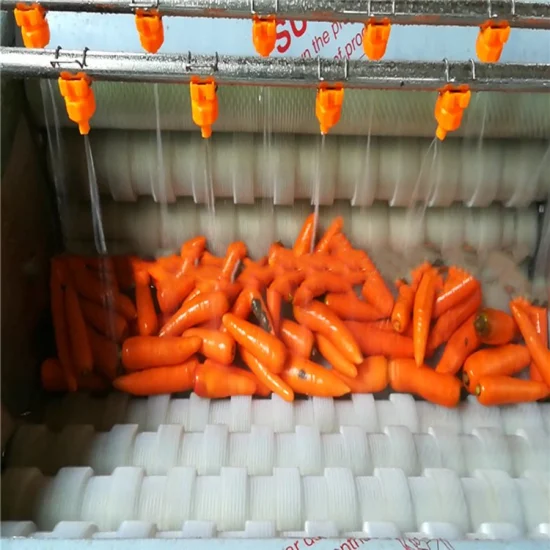 다기능 야채 생강 감자 당근 세척 청소 필링 기계 Aweet 감자 피부 제거 기계