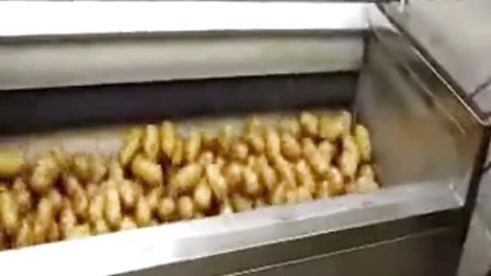 감자칩 만들기 기계 감자튀김 만들기 기계 감자칩 생산 라인