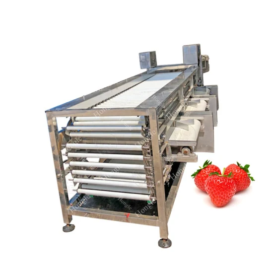 공장 가격 상업용 자동 Longan Lychee Corer 토마토 분류 기계(과일용)