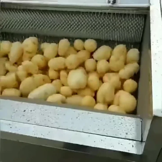 감자/생강 야채 세척 및 필링 기계